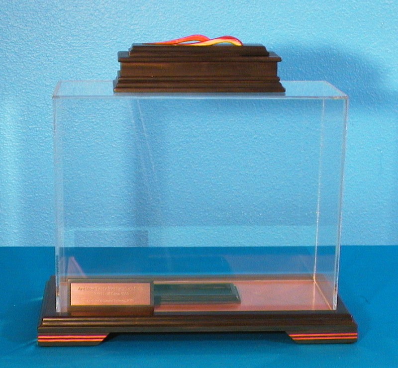 Ebony Display Case